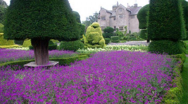 Стоковые фотографии по запросу Topiary art